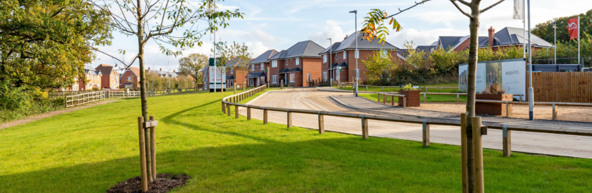 Chesterwell Street Scenes Additional Mersea Homes 3 of 31 CHESTERWELL PARK 1